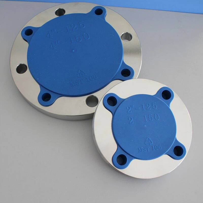 Forged Stainless Steel Flange