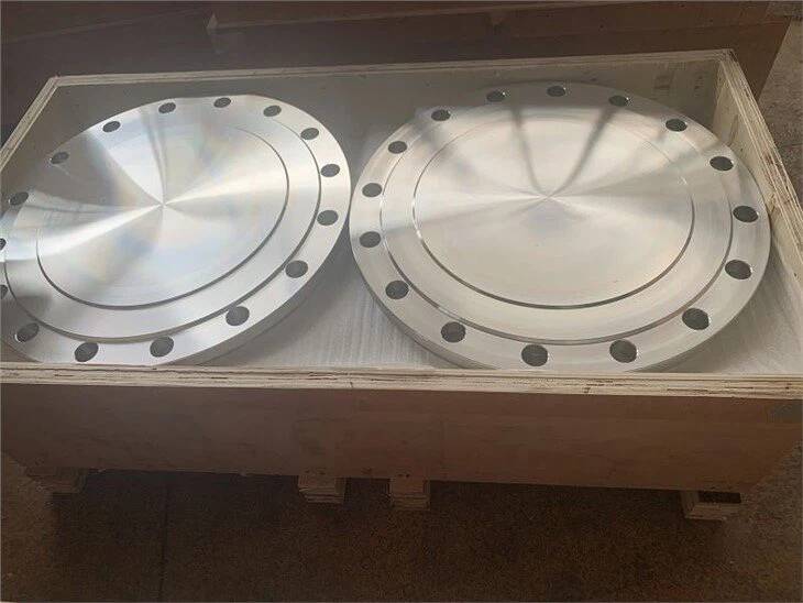 Stainless Steel Blind Flange